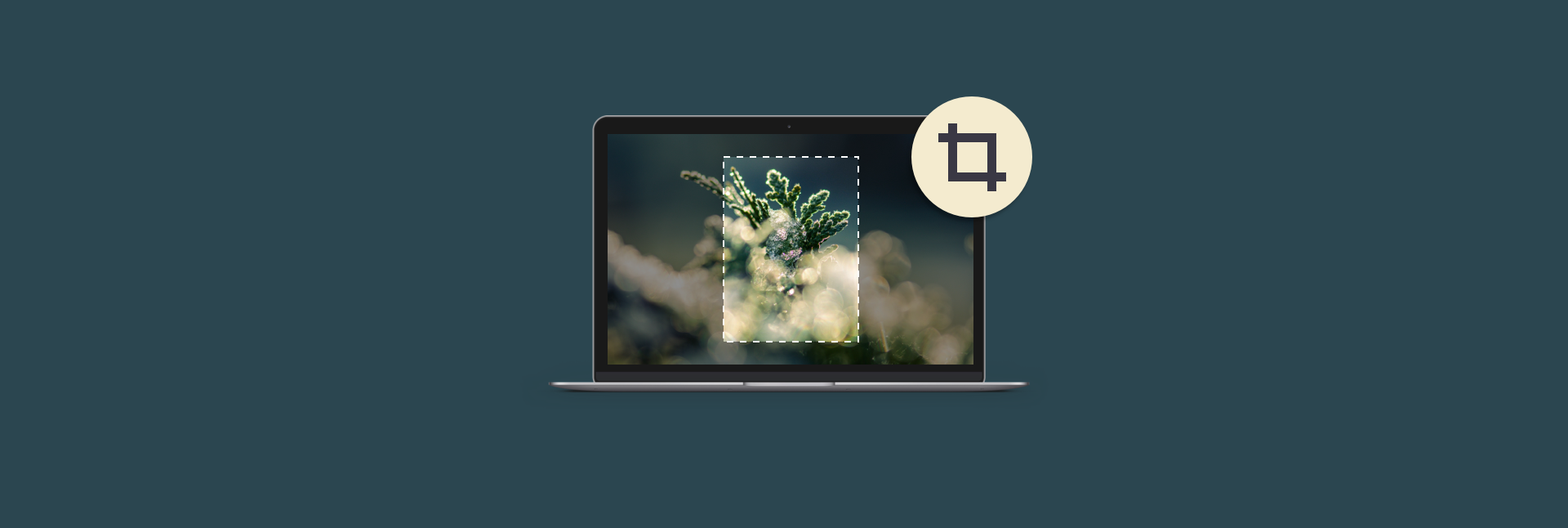 cropping software for mac